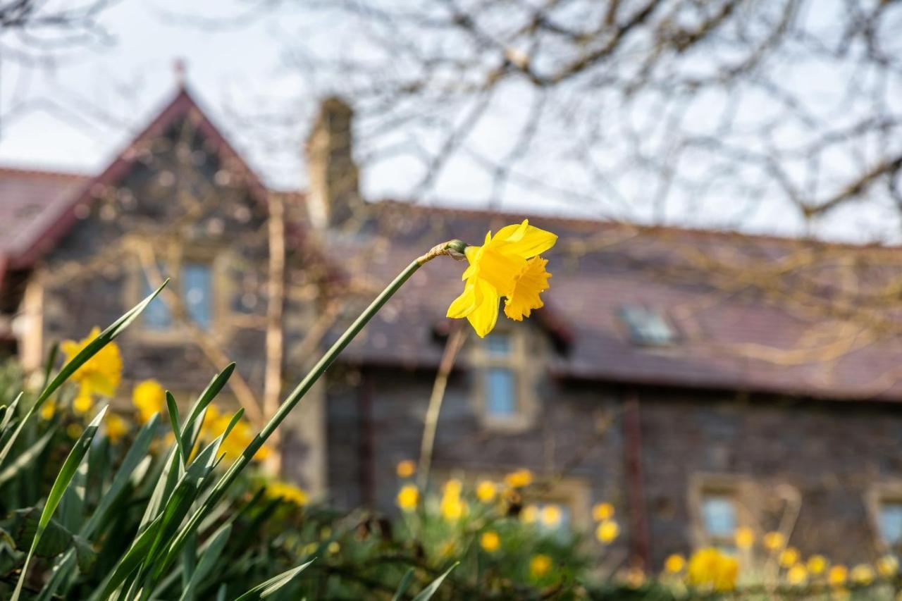 Penrhiw Priory Guest House St. Davids  Luaran gambar